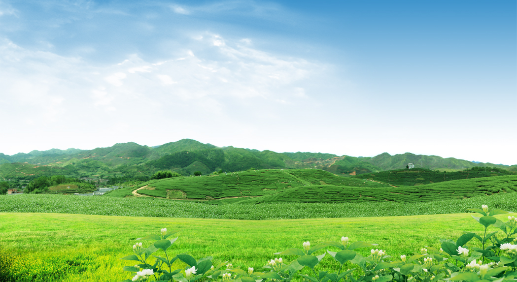 大氣環(huán)境質量監(jiān)測解決方案